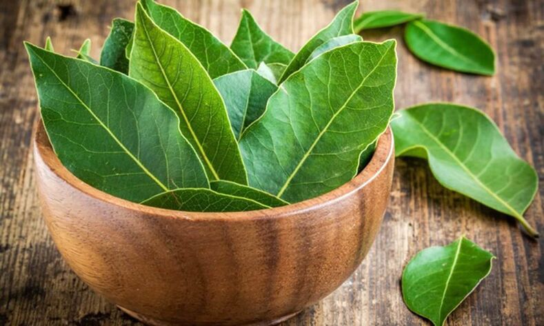 Bay Leaf