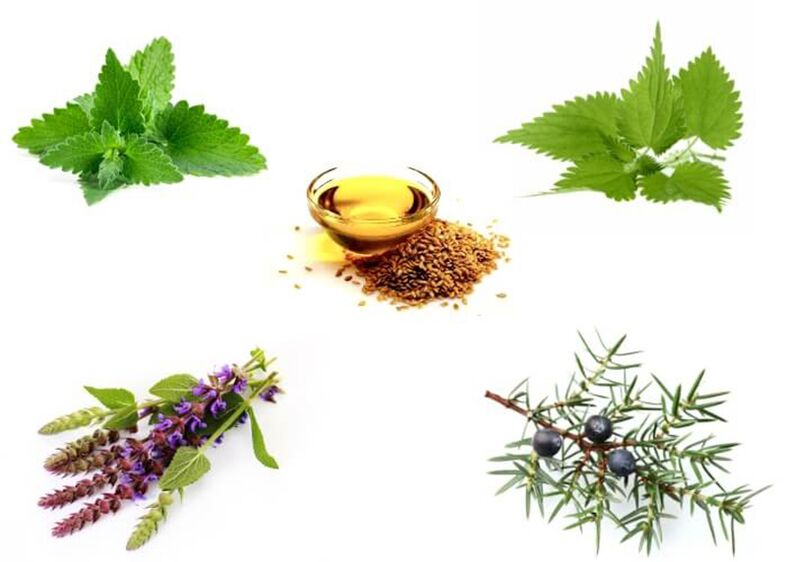 Mint, nettle, thyme, juniper at linseed oil