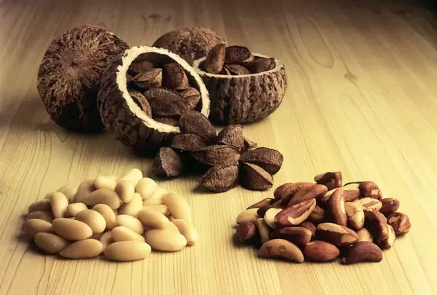 Walnut ng Brazil para sa lakas