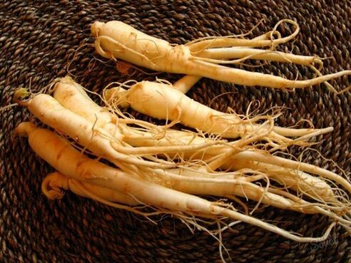 ugat ng ginseng upang madagdagan ang lakas pagkatapos ng 60