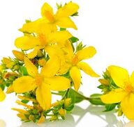 St. John's wort upang pasiglahin ang lakas