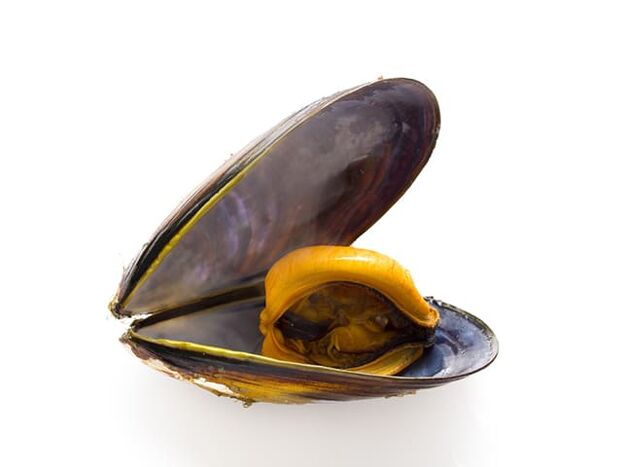 Dahil sa mataas na nilalaman ng zinc, ang mussel ay nagpapabuti sa kalidad ng tamud