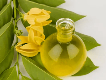 Aromatherapy upang mapabuti ang potency
